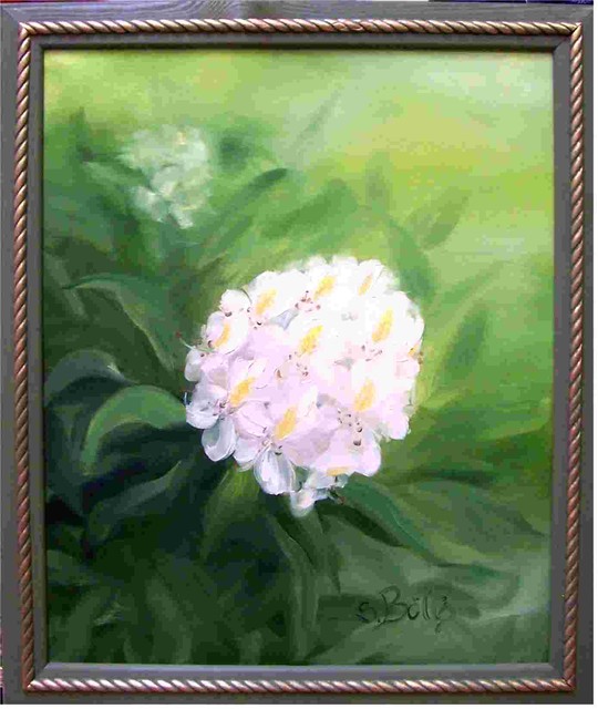 Rhododendron