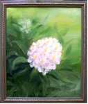 Rhododendron