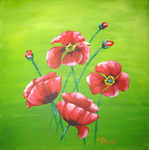 roter Mohn, 40x40cm, Auftragsarbeit