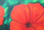 Hibiscus, Gro�format