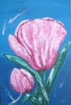 Tulpe, Gro�format