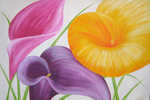 Callas, Gro�format