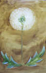 Pusteblume
