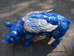 Nachthimmel-Engelschwein, Gold