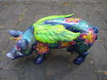 Flower-Power-Engelschwein, Glimmer