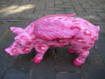 Pink Leopard