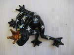 Kleiner Frosch mit Sternchen
