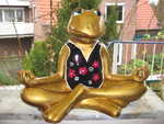 meditierender Frosch