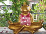 Froschk�nigin 