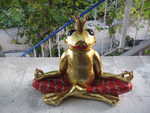 Kleine Froschprinzessin