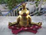 Kleine Froschprinzessin