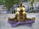 Kleine Froschprinzessin