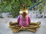 Kleine Froschprinzessin