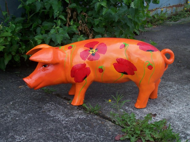 Mohn-Schwein