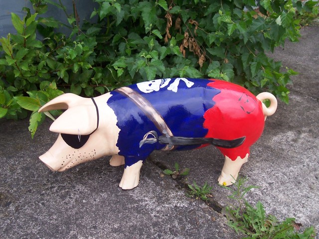 Pirat