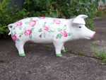 Rosen-Schwein