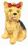 Yorkshire sitzend, H�he: 37cm