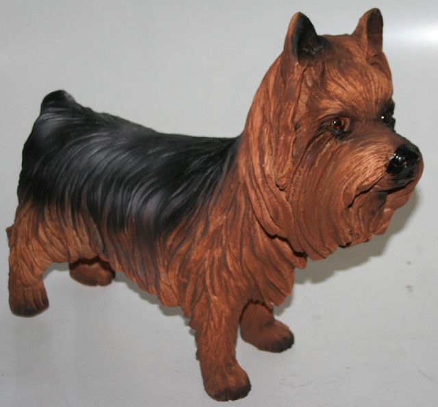 Yorkshire stehend, H�he: 35cm, L�nge: 46cm