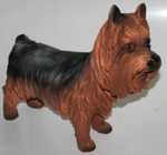 Yorkshire stehend, H�he: 35cm, L�nge: 46cm