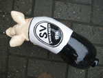 SV Sandhausen, Sonderanfertigung