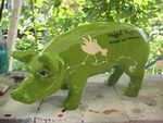 Rupperts-Schwein