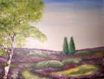 Heidelandschaft