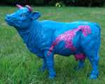 geliebtes Sylt, Glitter