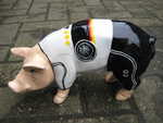 EM-Trikot 2008, Sonderanfertigung