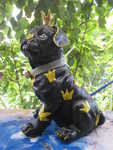 Baby-Mops "Kleiner Prinz"