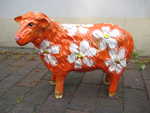 L�mmchen mit Margeriten auf orange-gold