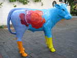 Gro�es Rosen-Kalb, Goldkontur