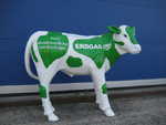 Erdgas-Kalb