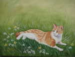 Katzenportrait Bonny, Auftragsarbeit