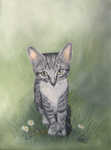 Katzenportrait Lily, Sonderanfertigung
