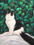Portrait Katze, Sonderanfertigung