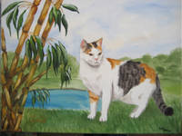 Highlight for Album: Archiv-Tiere & Kinder, Portrait