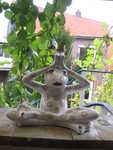 Weisser Yoga Frosch