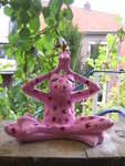 Rosa Yogafrosch