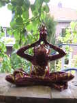 Dunkelroter Yogafrosch
