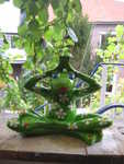 Laubgr�ner Yogafrosch