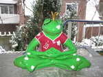 laubgr�ner Yogafrosch
