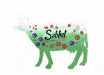 Sebbel4