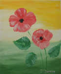 Mohn von J.B.
