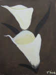 Callas von Thea