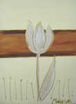 Tulpe von Mona