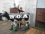Lebensgrosse Wacken-Kuh