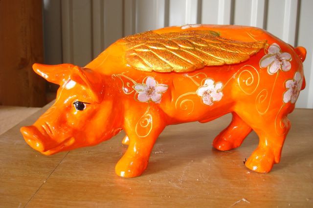 Engelschweine_52