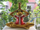 Fr&ouml;sche und Froschk&ouml;nige_54