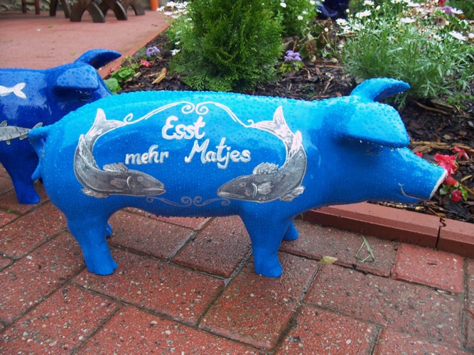 Große Schweine_151