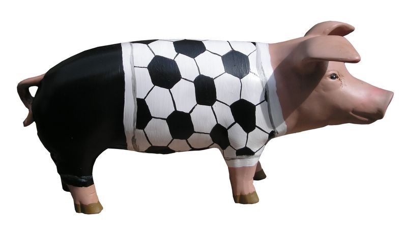 Große Schweine_162